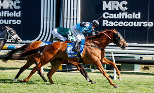 2025 Caulfield Cup